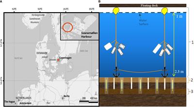 Microbe-mineral interactions in the Plastisphere: Coastal biogeochemistry and consequences for degradation of plastics